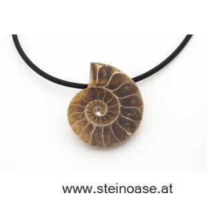 Anhänger Fossil / Ammonite